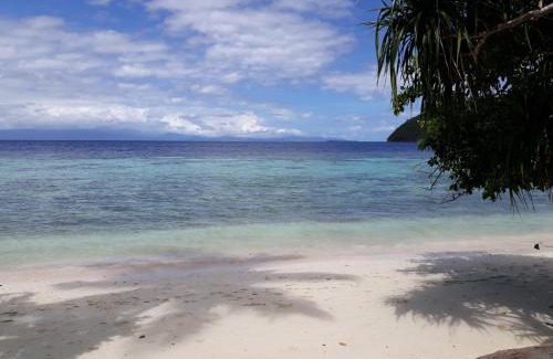 Raja Ampat House | Turtle Dive Homestay