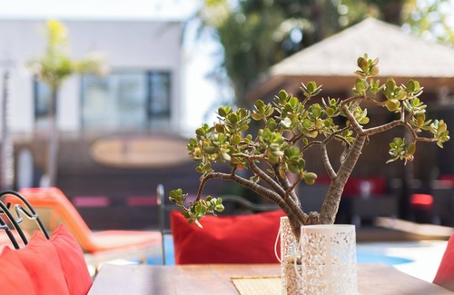 Marmion House | Twin Palms: 4BRM Coastal Retreat with Pool & BBQ.
