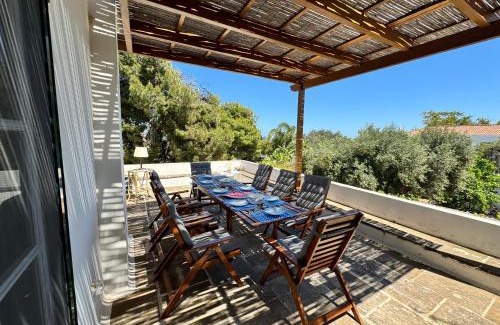 Spetses House | Two Olive Trees