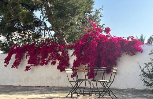 Spetses House | Two Olive Trees