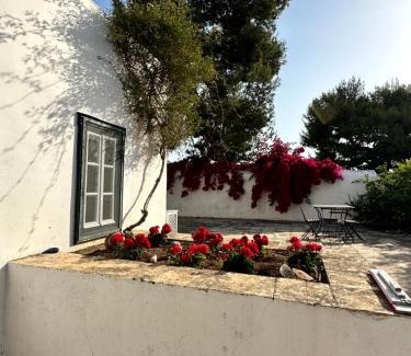 Spetses House | Two Olive Trees