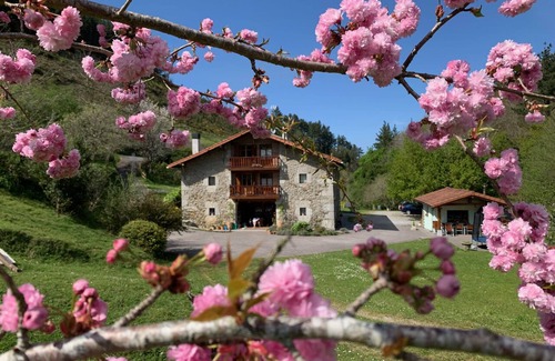 Gautegiz Arteaga Cottage | Txoritoki Apartment, Urresti