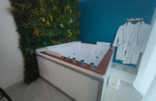 Meusnes House | Un amour passionnel,love room,15 min du zoo,balnéo XL privatisée et disponible toute l'année ,piscine couverte et chauffée d'avril à fin septembre à partager avec d'autres logements et elle est privatisée de 20h à 22h