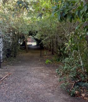 Santiago Apartment | Un trozo de bosque en la ciudad