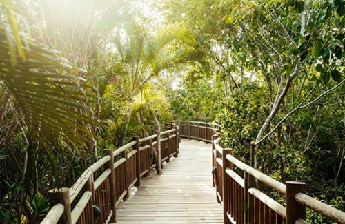 Villa Juarez Resort | Unveiling the Extravagance of Vidanta Grand Luxxe's 1 Br Suite in Riviera Maya