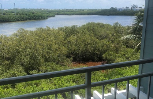 Midtown Condo | UPSCALE CONDO @ BELOW MARKET RATES