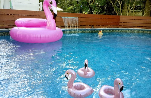 Broadmoor Apartment | UPTOWN OASIS W PRIVATE, HEATED POOL, Minutes to all New Orleans' top attractions