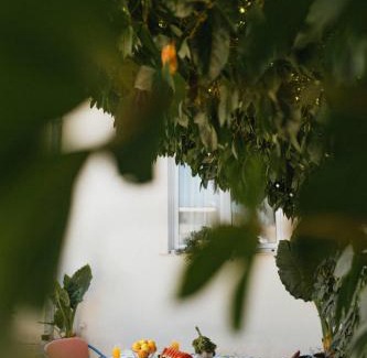 Ljubuski Apartment | Urban Nest