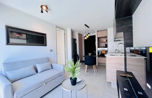 Downtown Santiago Apartment | Urban Victoria - Cowork Gym Washer Wifi