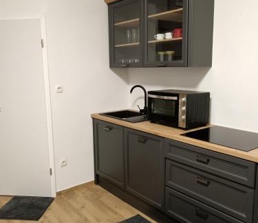 Siska District Apartment | Urko Apartments Ljubljana