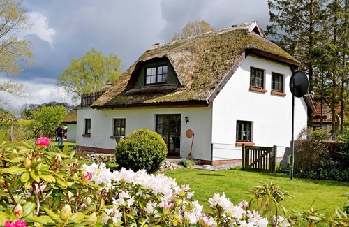 Patzig Apartment | Vacation apartment under a thatched roof in Woorke - Holiday home and apartment under a thatched roof in Woorke