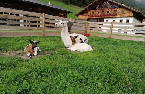 Valle Aurina Apartment | Vacation apartment "Tischlerhof Alm" with balcony and mountain view