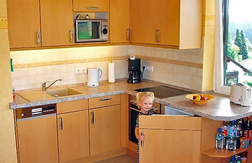 Kappel Apartment | Vacation apartment/apartment for 4 guests with 67m² in Lenzkirch (20359)