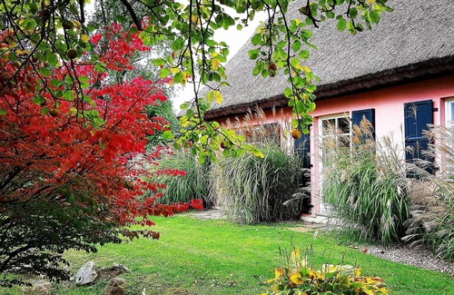 Renz Apartment | Vacation apartment/apartment for 3 guests with 63m² in Poseritz (128036)