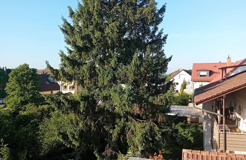 Plankstadt Apartment | Vacation apartment near Heidelberg with large terrace for 2-4 people