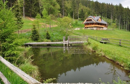 Bad Sankt Leonhard im Lavanttal House | Vacation home for 12 guests with 120m² in Kliening (273685)