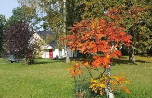 Bodstedt House | Vacation home for 8 guests with 90m² in Fuhlendorf (159680)