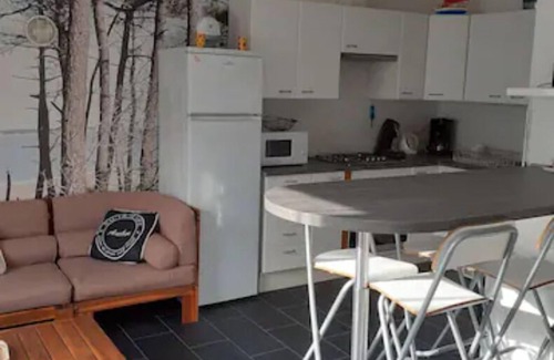 Ronce-les-Bains House | Vacation home Ronce les Bains (6 people) Private parking - garden-terrace
