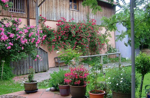 Tiefenbach Apartment | Vacation idyll "Apartment Rosenstiege" on an old farm - peace, charm, nature