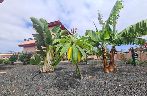 La Oliva Villa | Vacation Villa 'Fuerteventura Origo Mare Casa 3 P' with Sea View, Shared Pool and Wi-Fi