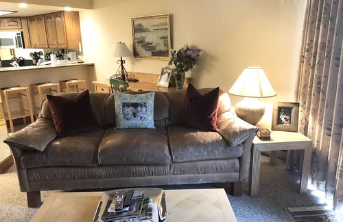 Vail Condo | Vail Village European Charmer-Walk to Gondola, AC, Dog friendly