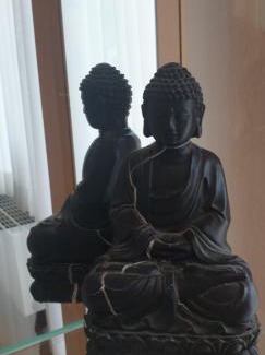 Ortsmitte Apartment | Vakantiewoning EvaLisa