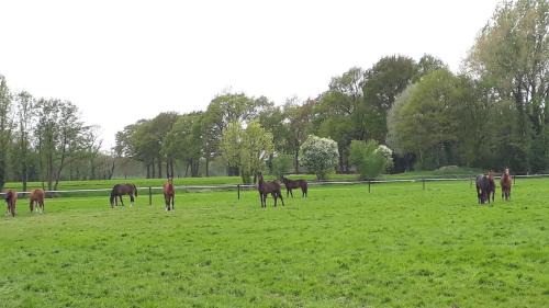 Vorden House | Vakantiewoning 't Haller Vorden
