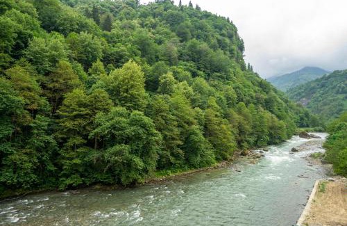 Ayder Hotel | VALLEY SUiT OTEL