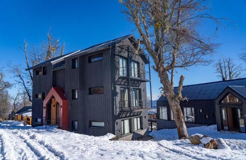 Lanin National Park Apartment | Vandor