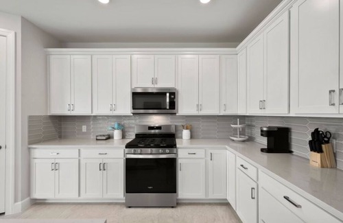 Estero House | Verdana Village, Estero Fl. Vacation style resort community. Small dogs welcome