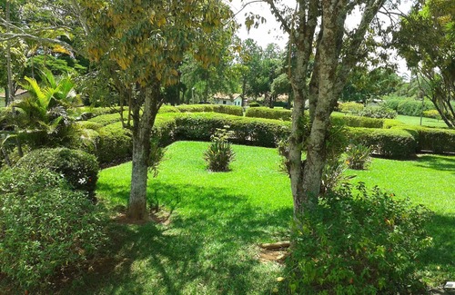 Braganca Paulista House | Very green place to relax by the pool