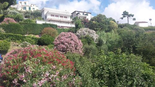 Torbora House | Via dei Ginepri