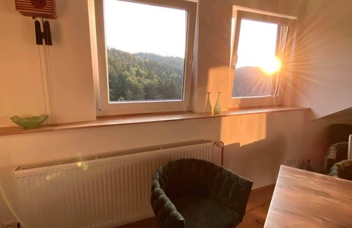 Triberg im Schwarzwald Condo | Views over the Forest+Garden,Campfire,Fireplace