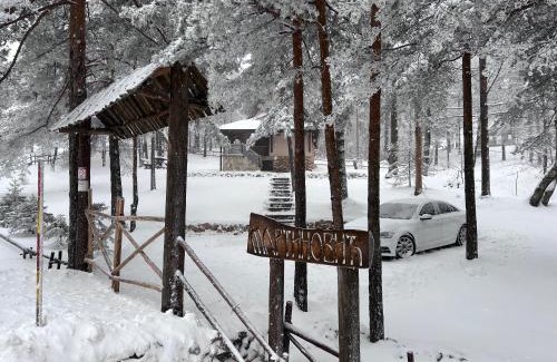 Divcibare House | Vikendica Martinović