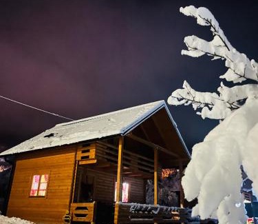 Herzegovina-Neretva Canton House | Vikendice Ramsko jezero Rama Prozor
