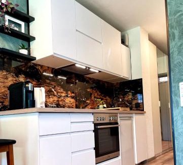 Titisee-Neustadt Apartment | Viktor Apartment