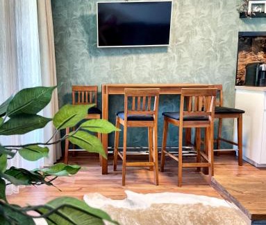 Titisee-Neustadt Apartment | Viktor Apartment