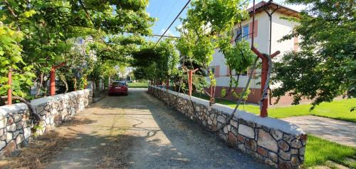 Vama Veche House | Vila Cosmin