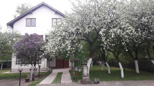 Ilidza Villa | Vila Gardenia
