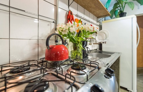 Sao Paulo Apartment | VILA MADALENA Perfect Location: Artistic Apartment