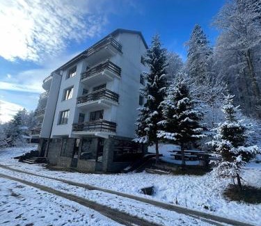 Predeal House | Vila Predeal Holidays