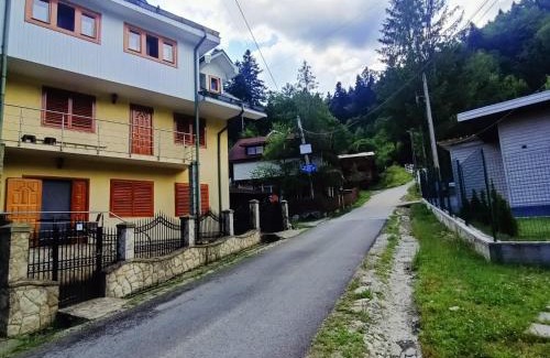 Slanic-Moldova House | Vila Robert