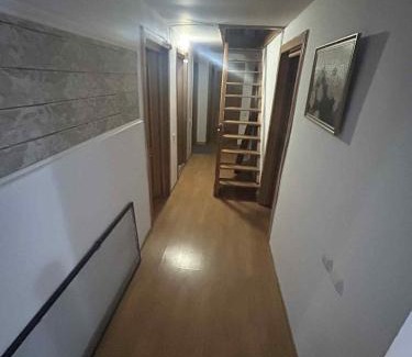 Slanic-Moldova House | Vila Robert