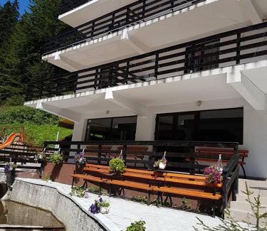 Predeal House | Vila Zenobia