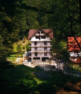Predeal House | Vila Zenobia