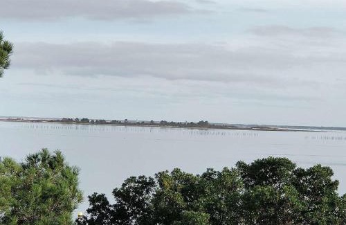 Lege-Cap-Ferret Villa | Villa 12 pers avec piscine chauffée et vue exceptionnelle, première ligne Bassin d'Arcachon - FR-1-736-32