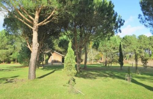 Messanges Villa | Villa 4 pers. avec jardin privé, animaux acceptés, tout confort à Messanges - FR-1-379-136