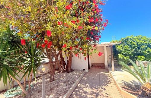 Trapani House | Villa Andrea "Vivi l'Oasi di Tranquillità"