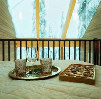 Syote Ski Chalet | Villa Auroras Karhu