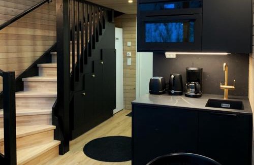 Syote Ski Chalet | Villa Auroras Karhu